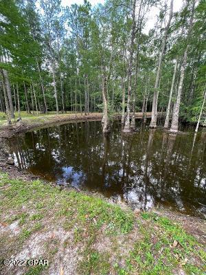 3887 Anders Road Caryville, FL 32427 - Photo 21 of 26 Gallery Image 21