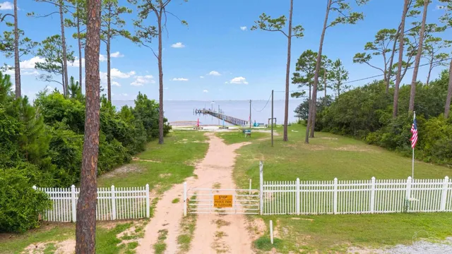 a view of a garden with a bench in front of it