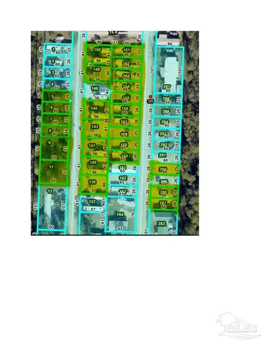 a black and white photo of a garden