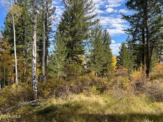 $325,000 | 75 Red Draw, Edwards, CO 81632