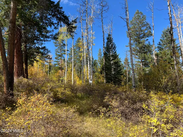 $325,000 | 75 Red Draw, Edwards, CO 81632