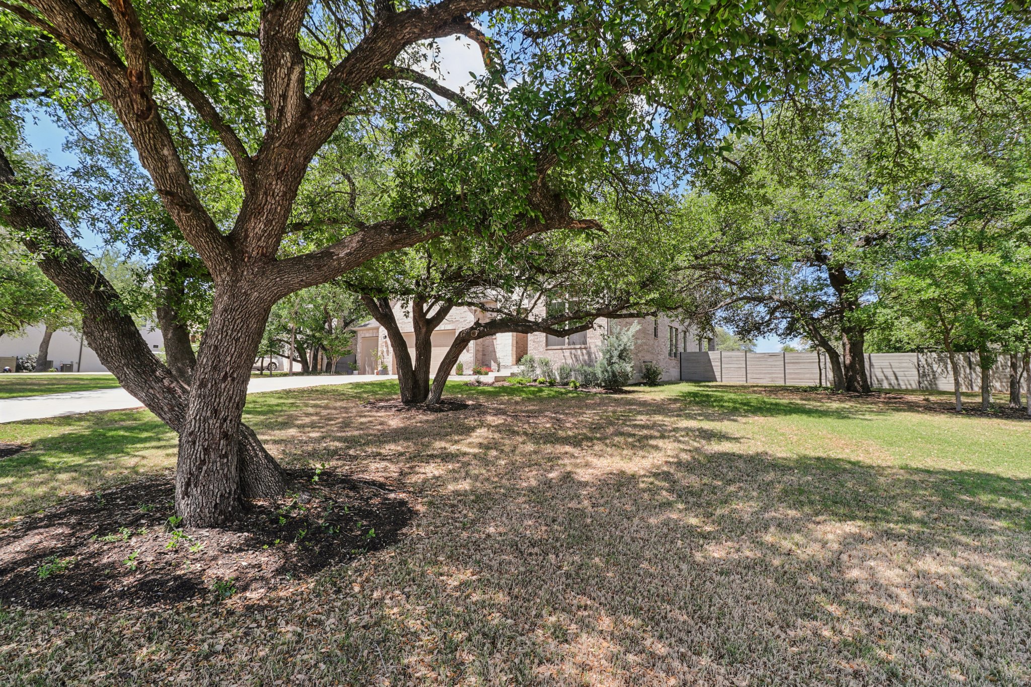101 Wolf Rdg Road Georgetown, TX 78628 - Photo 3 of 40 stunning Texas Oaks all through the property