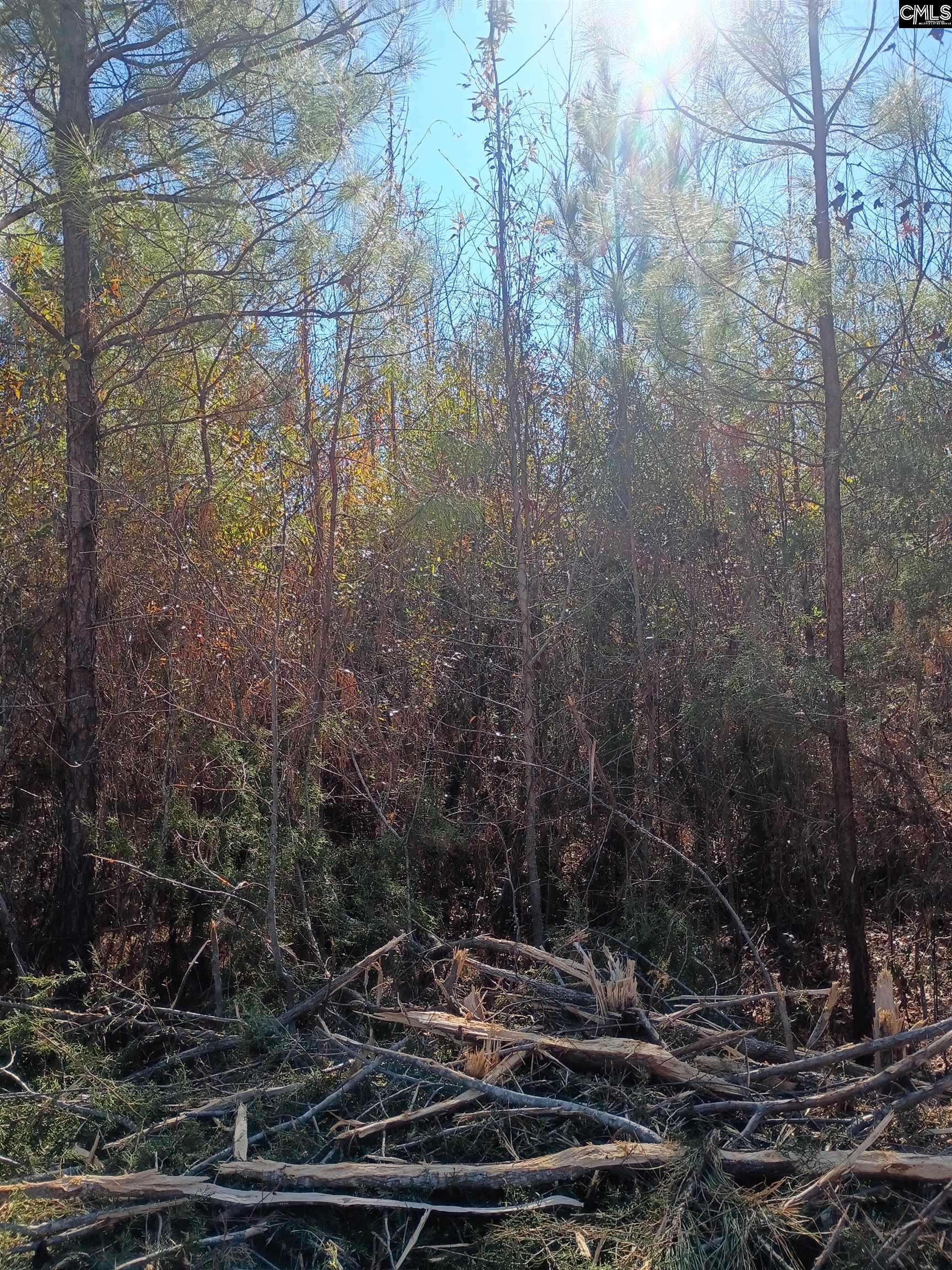 1163 June Berry Road Camden, SC 29020 - Photo 11 of 20