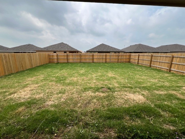 519 Wyatt Way Jarrell, TX 76537 - Photo 11 of 12 a view of swimming pool with lawn chairs and large trees