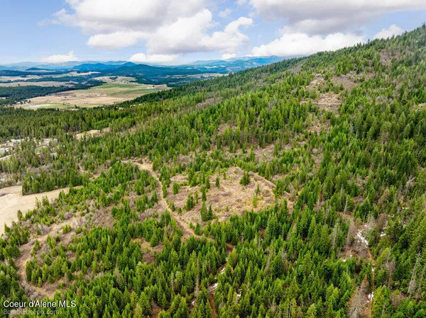 $215,000 | 497 Thimbleberry Lane, Plummer, ID 83851