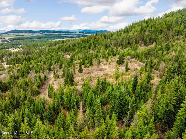 $215,000 | 497 Thimbleberry Lane, Plummer, ID 83851