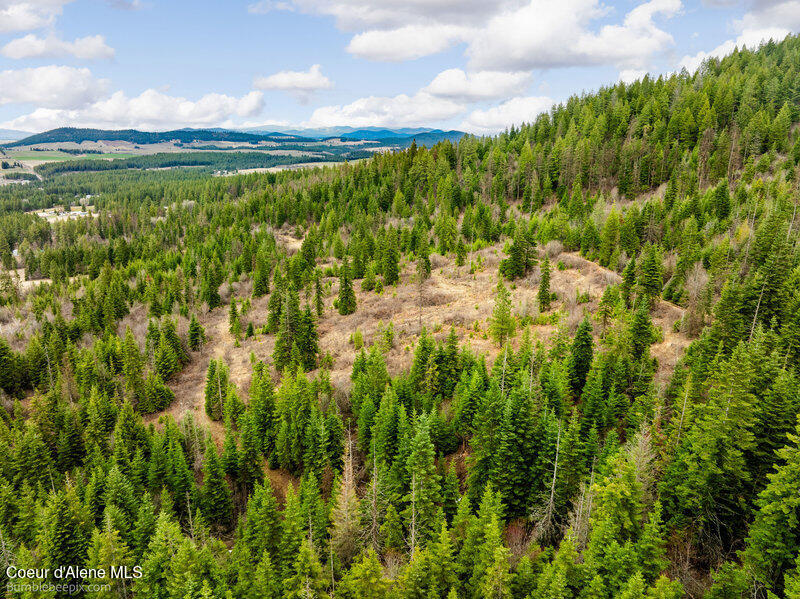 497 Thimbleberry Lane Plummer, ID 83851 - Photo 12 of 13 Aerial View