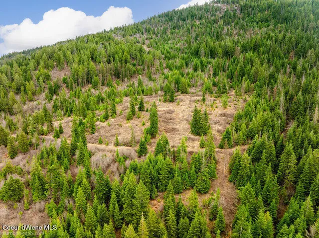 $215,000 | 497 Thimbleberry Lane, Plummer, ID 83851