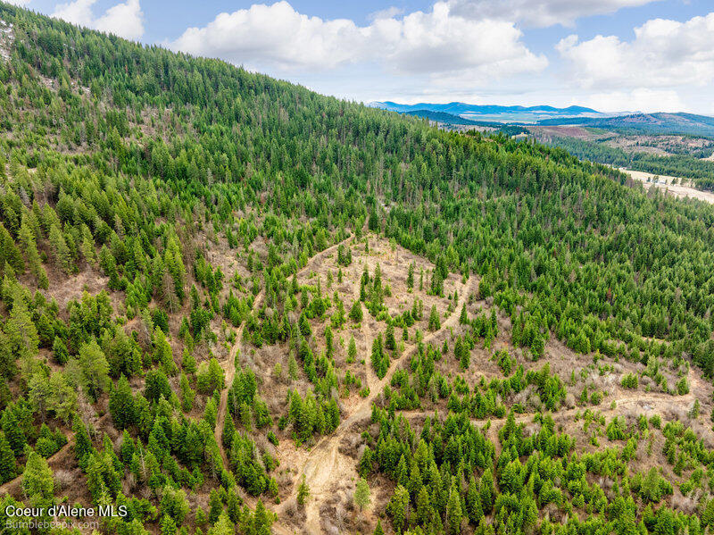 497 Thimbleberry Lane Plummer, ID 83851 - Photo 5 of 13 Aerial View