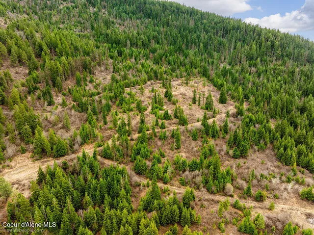 $215,000 | 497 Thimbleberry Lane, Plummer, ID 83851