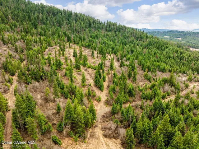 $215,000 | 497 Thimbleberry Lane, Plummer, ID 83851