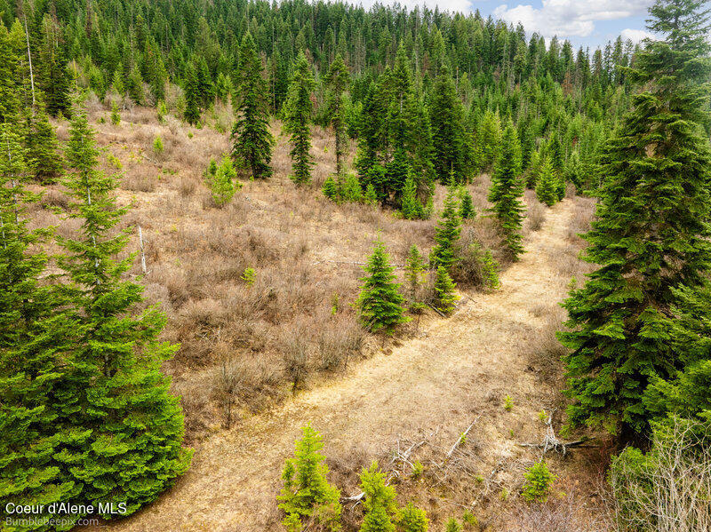 497 Thimbleberry Lane Plummer, ID 83851 - Photo 8 of 13 Landscape
