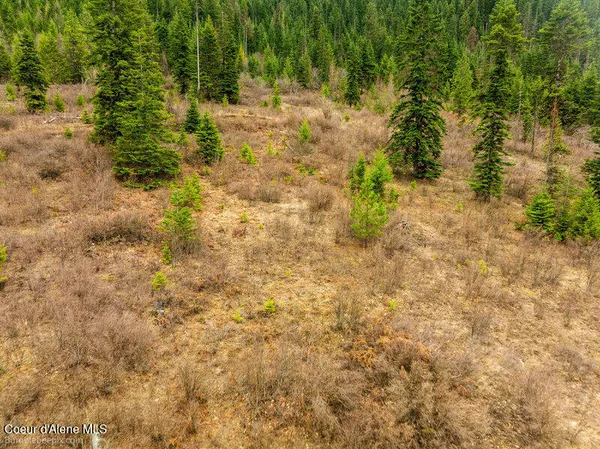 $215,000 | 497 Thimbleberry Lane, Plummer, ID 83851