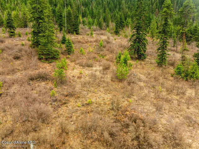 $215,000 | 497 Thimbleberry Lane, Plummer, ID 83851