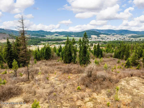 $215,000 | 497 Thimbleberry Lane, Plummer, ID 83851