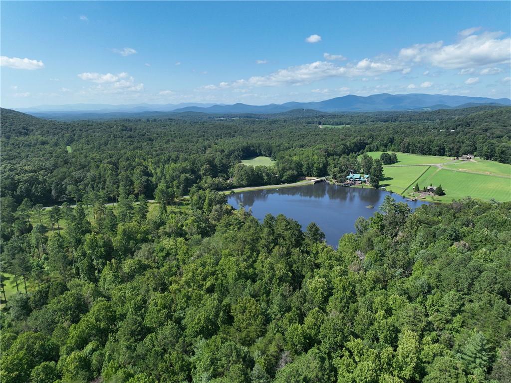 142 R Autumn Fern Lane Ellijay, GA 30536 - Photo 7 of 33 Gallery Image 7