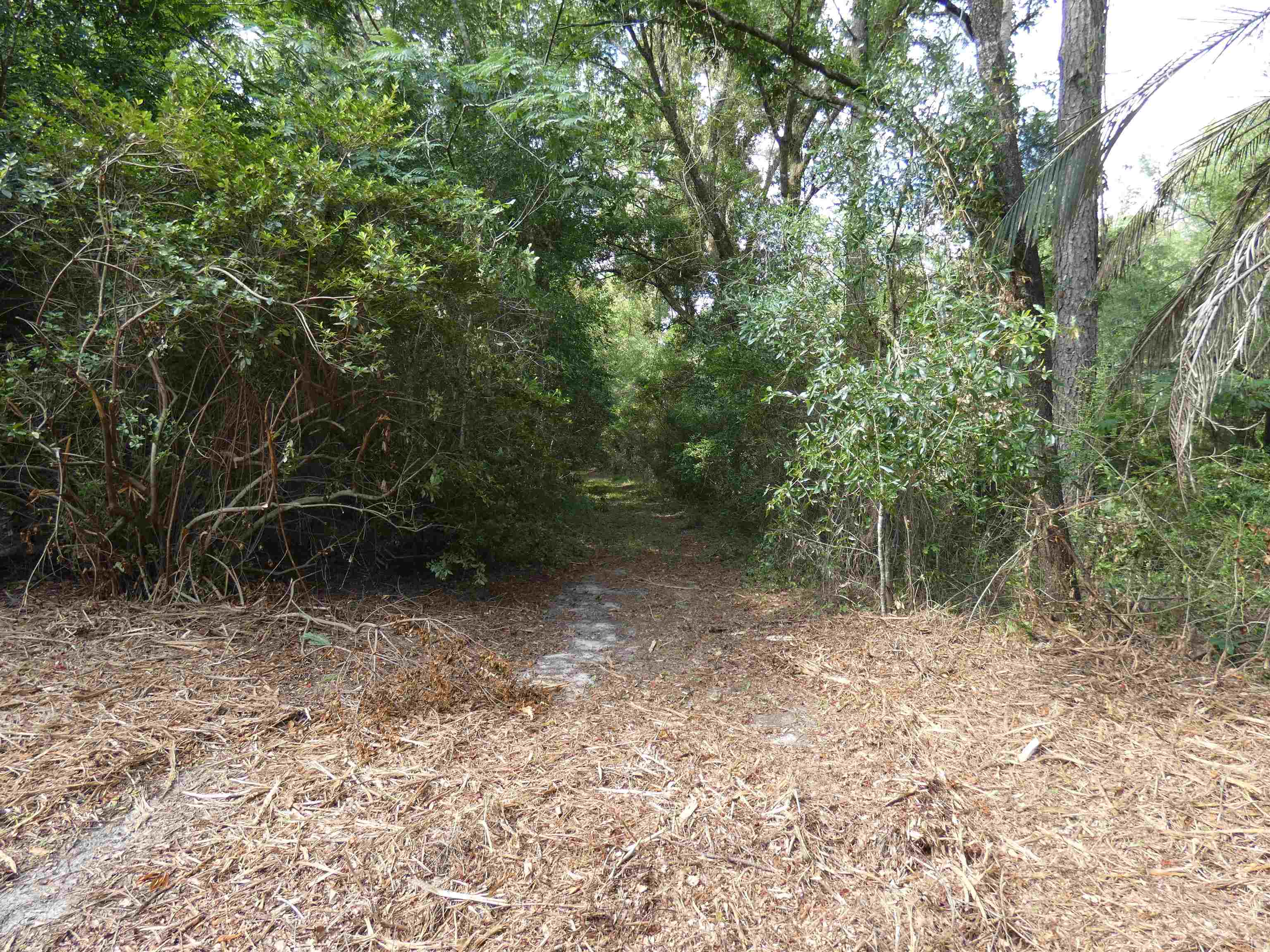 75 Old Tung Grove Road Monticello, FL 32344 - Photo 2 of 3
