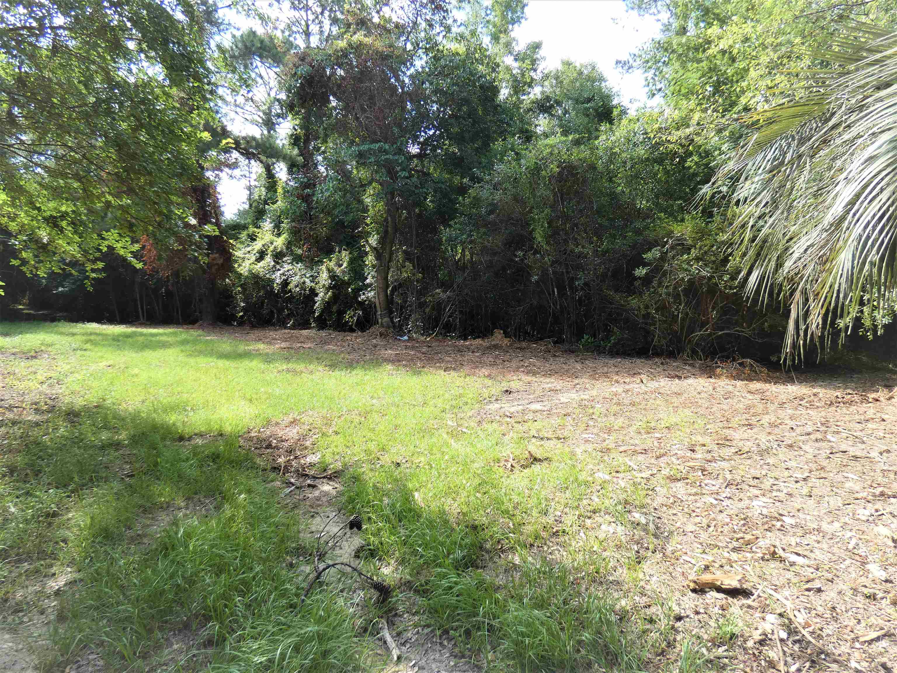 75 Old Tung Grove Road Monticello, FL 32344 - Photo 3 of 3
