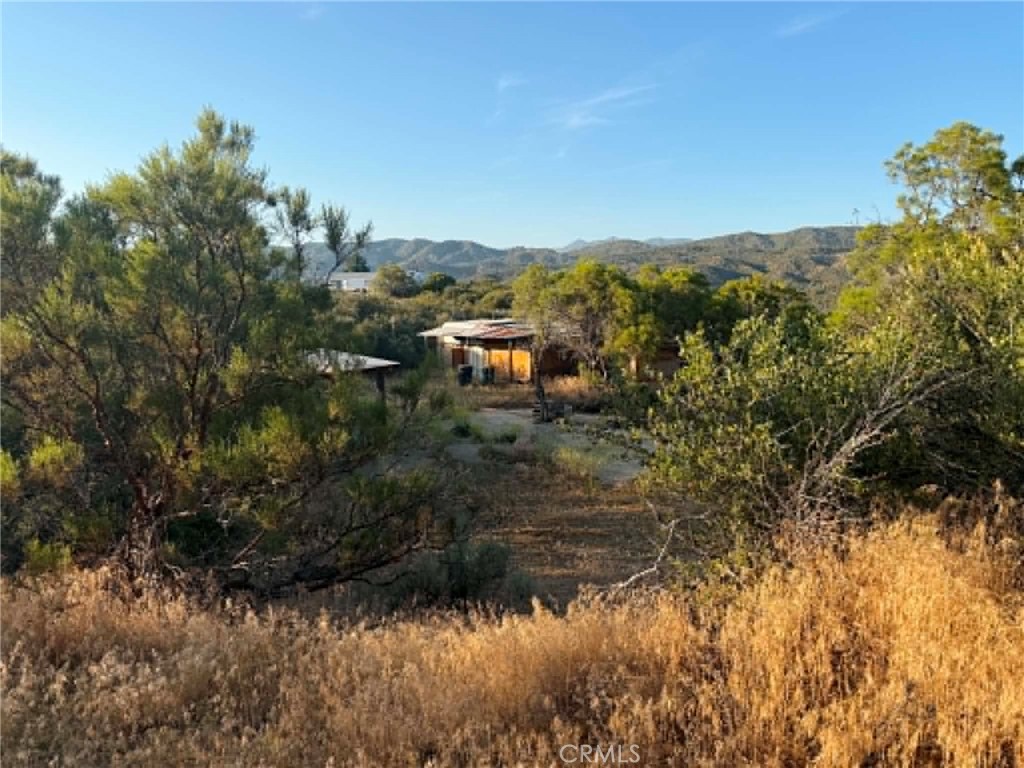 8 Burnt Valley Road Anza, CA 92539 - Photo 6 of 10