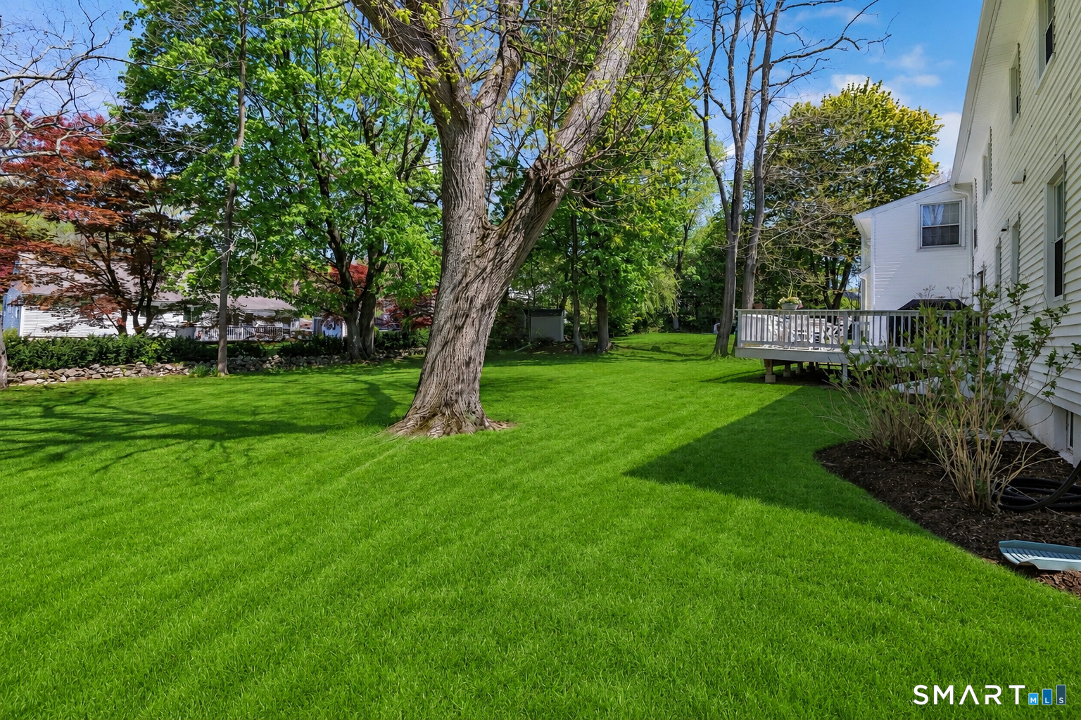 58 Colony Avenue Trumbull, CT 06611 - Photo 35 of 38 a view of a tree in a yard