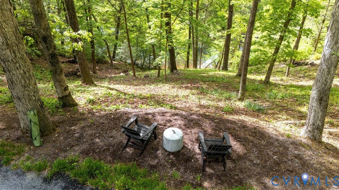 14335 Horseshoe Ford Road Ashland, VA 23005 - Photo 59 of 64 a backyard of a house with lots of green space