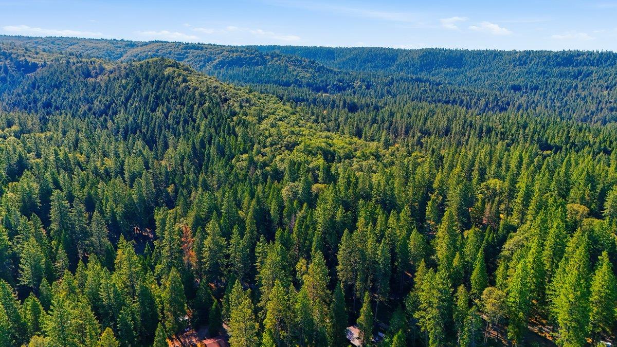 17525 Lazy Dog Road Nevada City, CA 95959 - Photo 56 of 56 Gallery Image 56