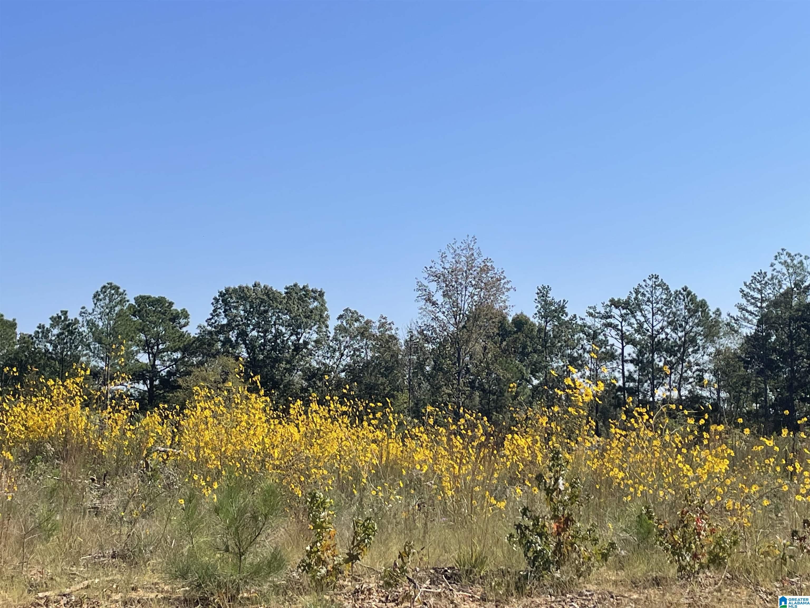 3679 Chelsea Road, Unit 2 Columbiana, AL 35051 - Photo 13 of 13