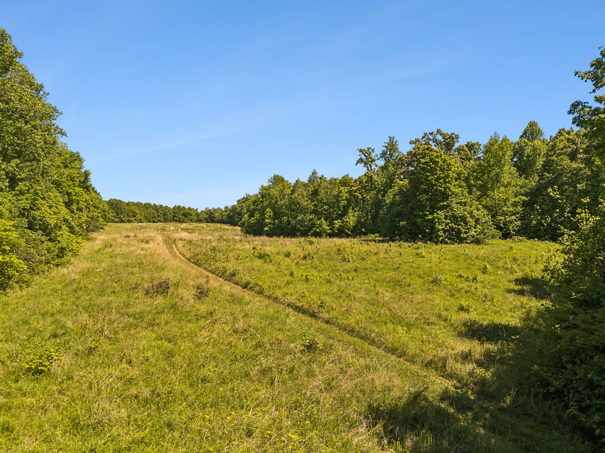 655 Burton Ridge Road Silver Point, TN 38582 - Photo 62 of 64