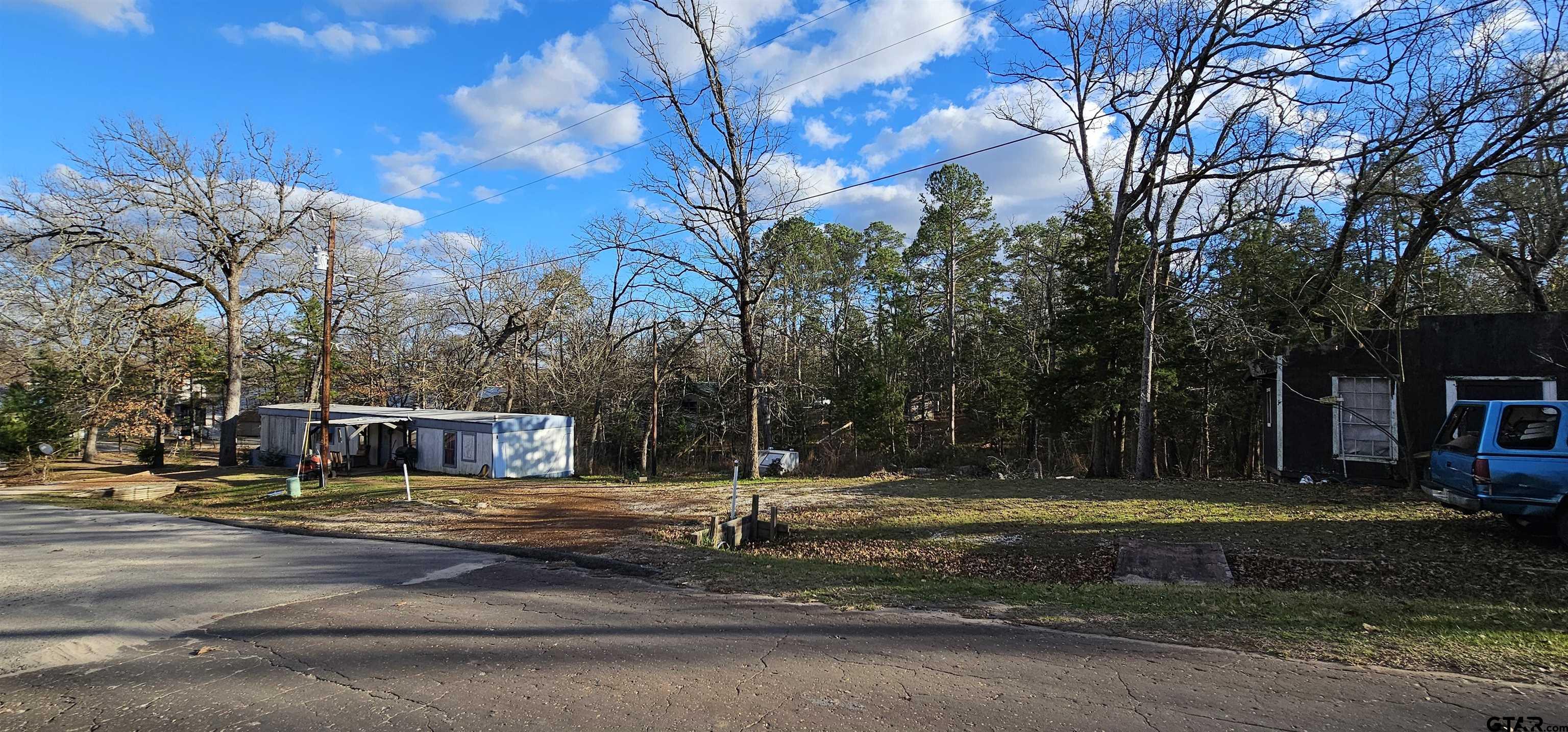 240 Elm Drive Murchison, TX 75778 - Photo 4 of 19 a view of a yard with yellow house