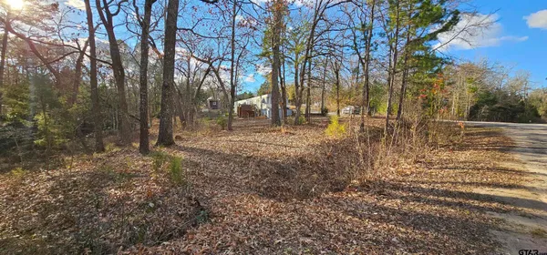 a view of backyard with green space
