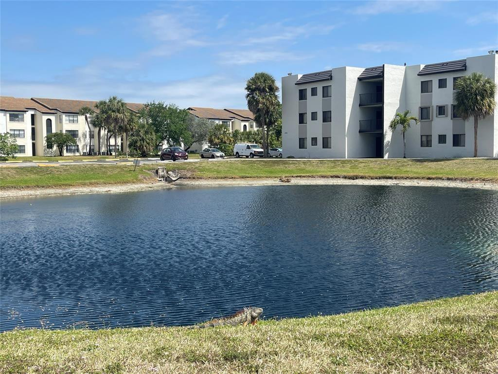 3720 North Pine Island Road, Unit 436 Sunrise, FL 33351 - Photo 24 of 26 a view of building with swimming pool and yard