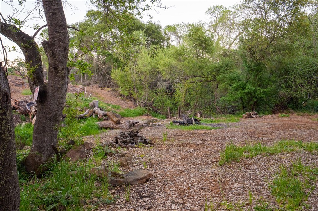595 Long Bar Road Oroville, CA 95966 - Photo 65 of 67 Trails and PGE Easement area