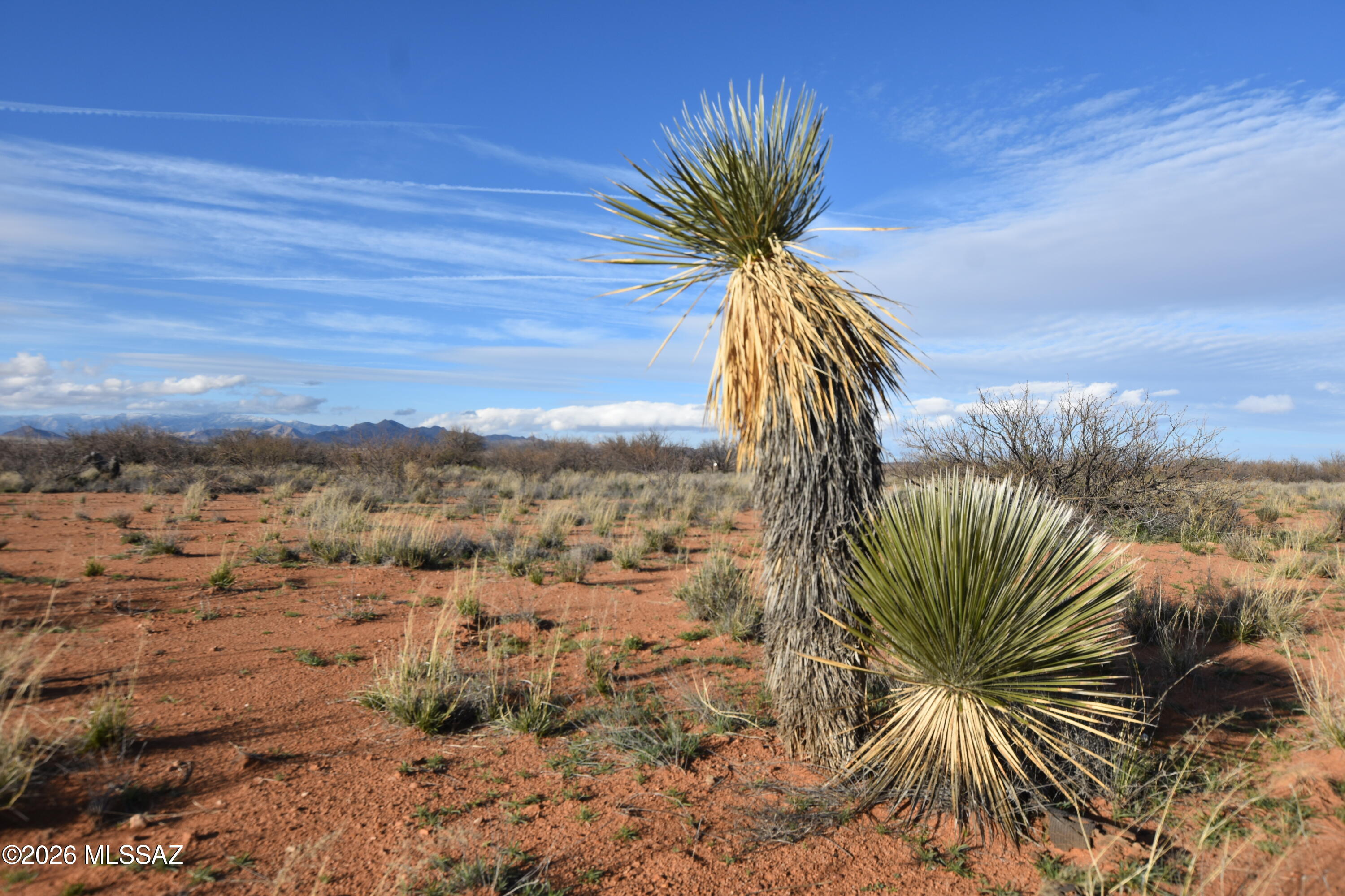 East Howling Wolf Road Willcox, AZ 85643 - Photo 16 of 49
