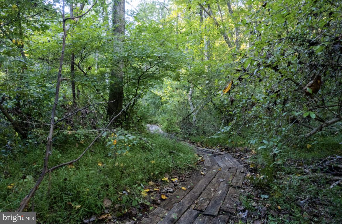 5130 Elder Road Baldwin, MD 21013 - Photo 39 of 47 Path view