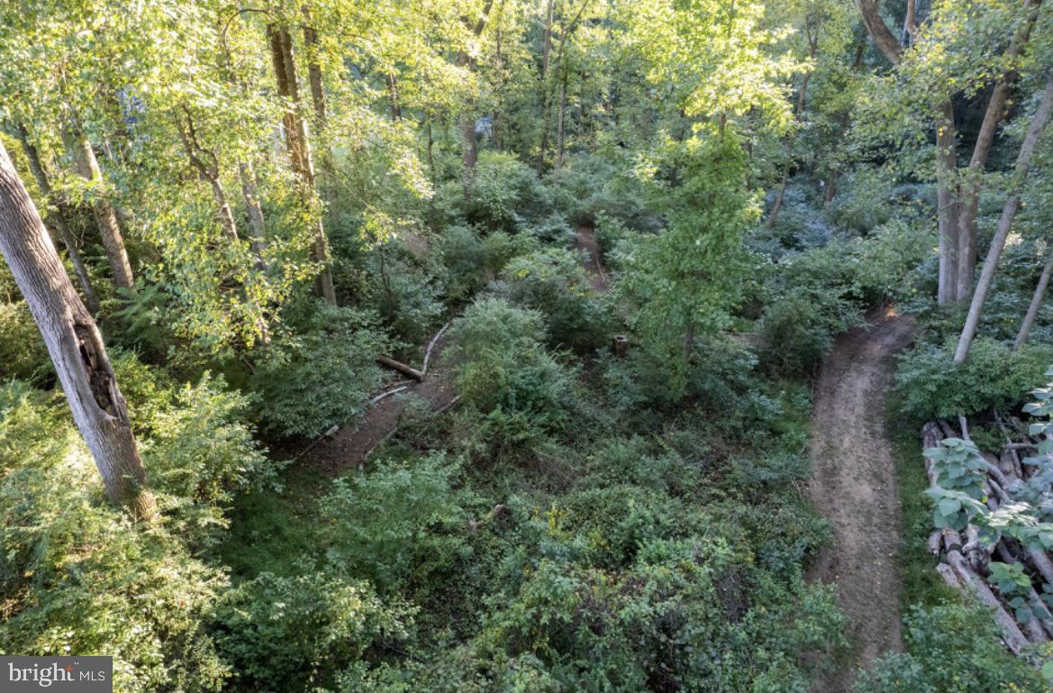 5130 Elder Road Baldwin, MD 21013 - Photo 40 of 47 Path
