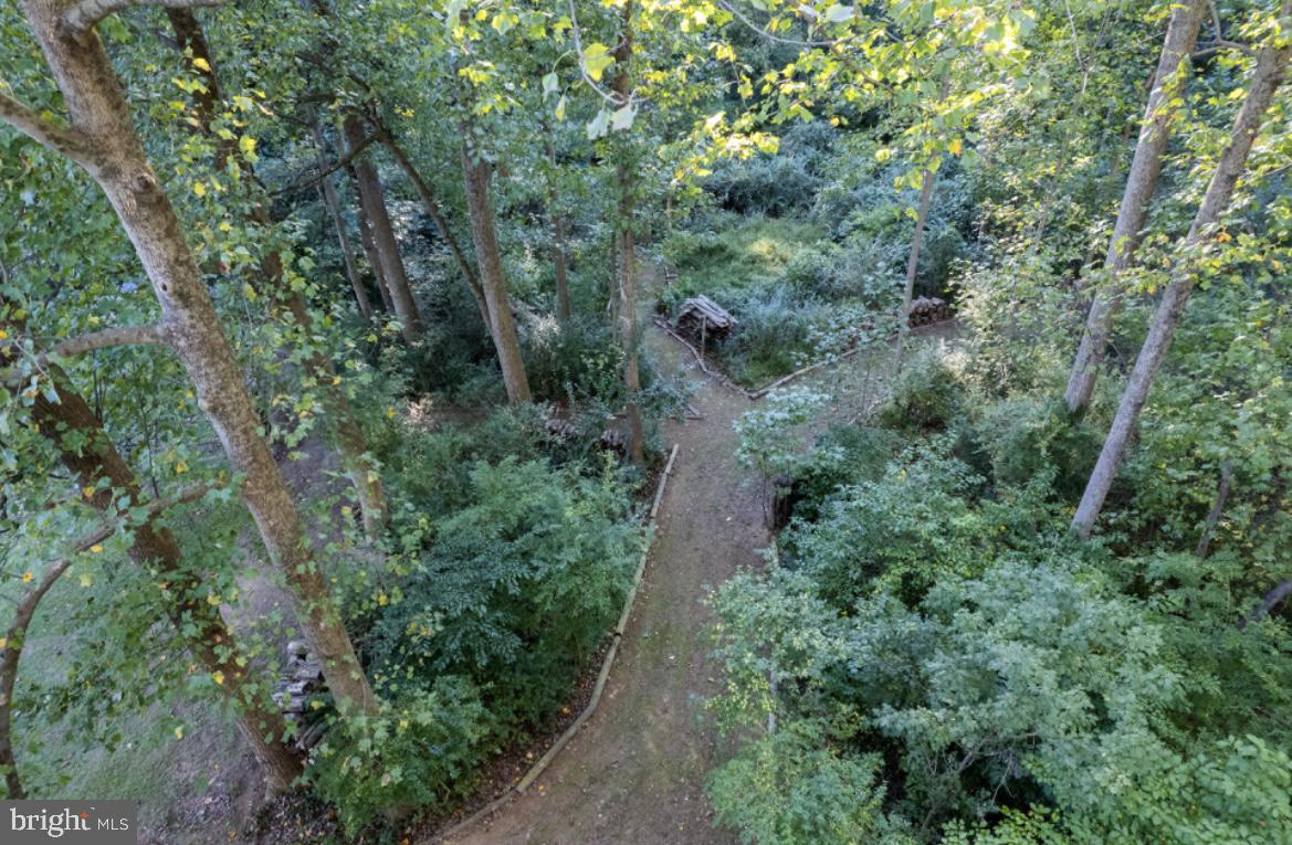 5130 Elder Road Baldwin, MD 21013 - Photo 41 of 47 Path to your stream