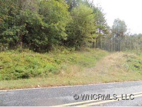 1310 Edgerton Road Mill Spring, NC 28756 - Photo 2 of 3 Gallery Image 2