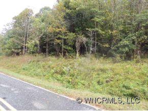 1310 Edgerton Road Mill Spring, NC 28756 - Photo 3 of 3 Gallery Image 3