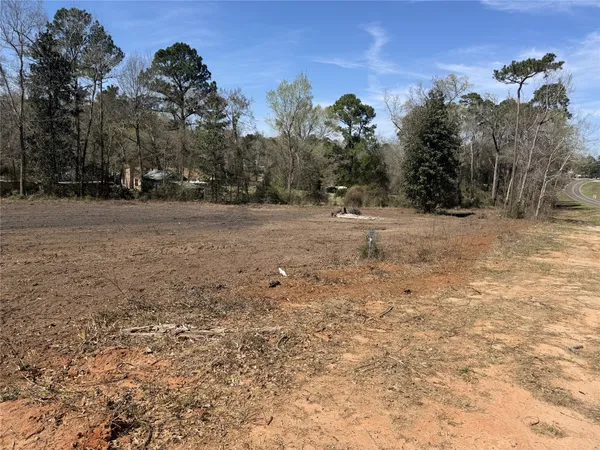 a view of dirt yard with large trees