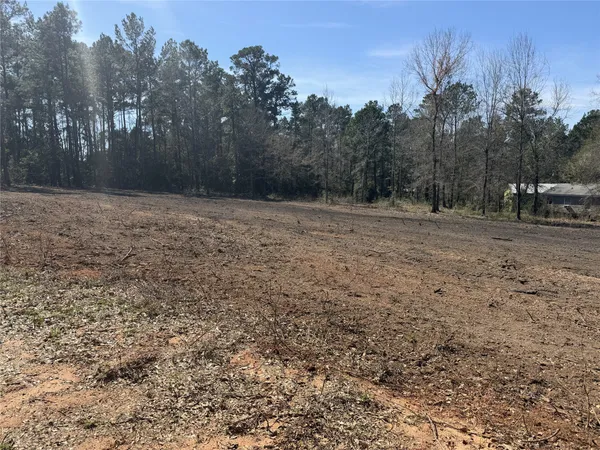 a view of dirt yard with a large tree