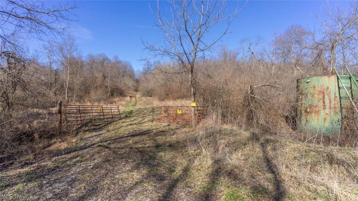 0 Clem Garvin Road Caldwell, OH 43724 - Photo 24 of 50 View of yard with a view of rural / pastoral area