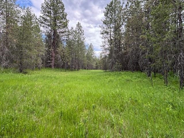 43-xx Lumberg Road Springdale, WA 99173 - Photo 12 of 37