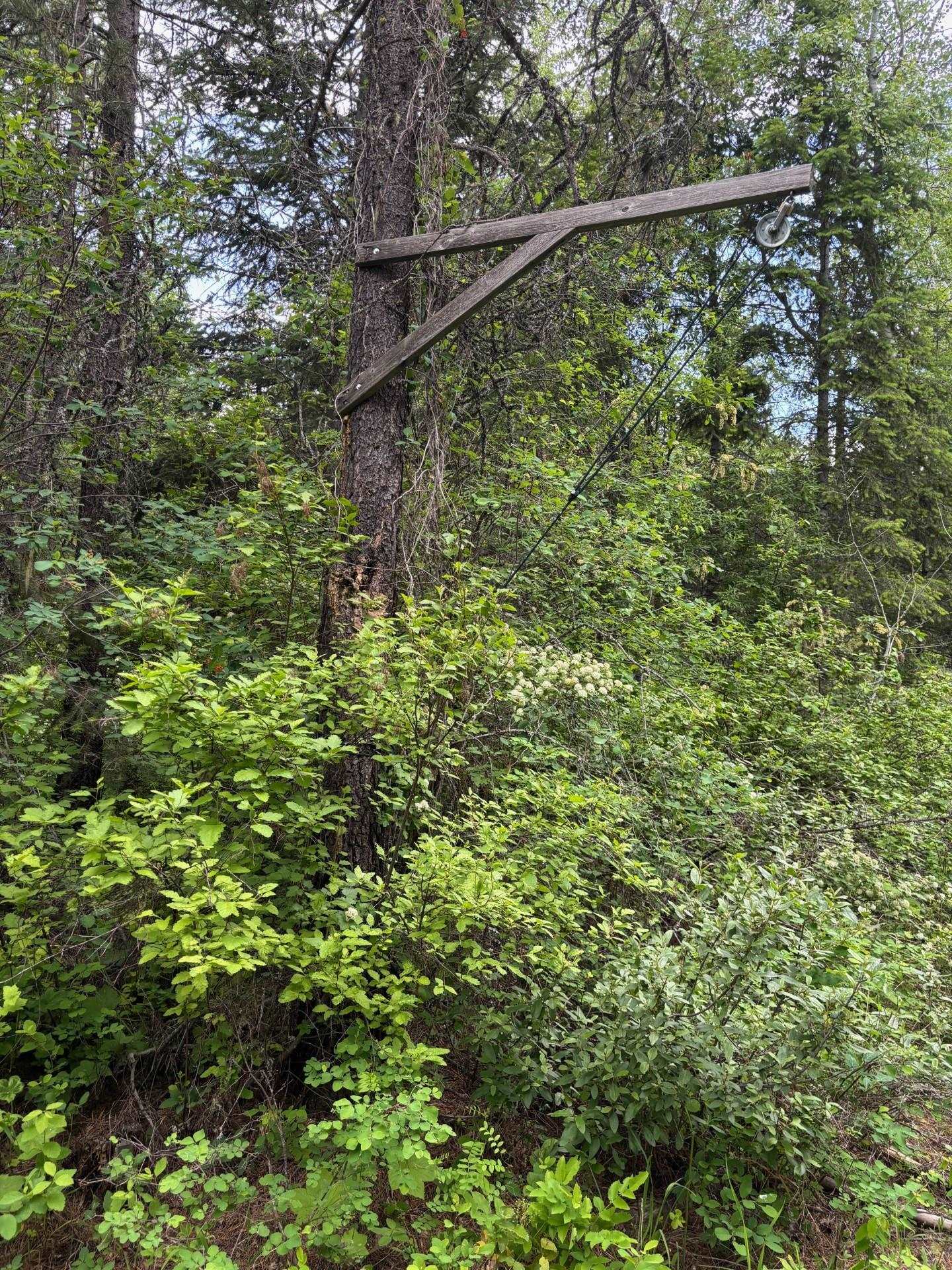 43-xx Lumberg Road Springdale, WA 99173 - Photo 23 of 37