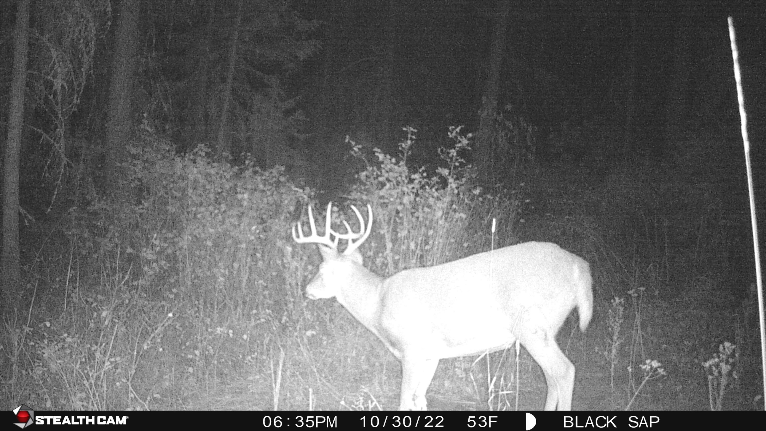 43-xx Lumberg Road Springdale, WA 99173 - Photo 8 of 37