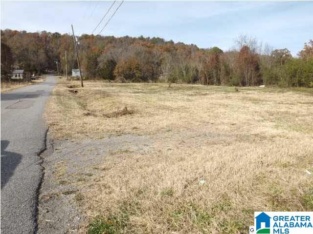 0 Highway 75, Unit 7 Oneonta, AL 35121 - Photo 8 of 9