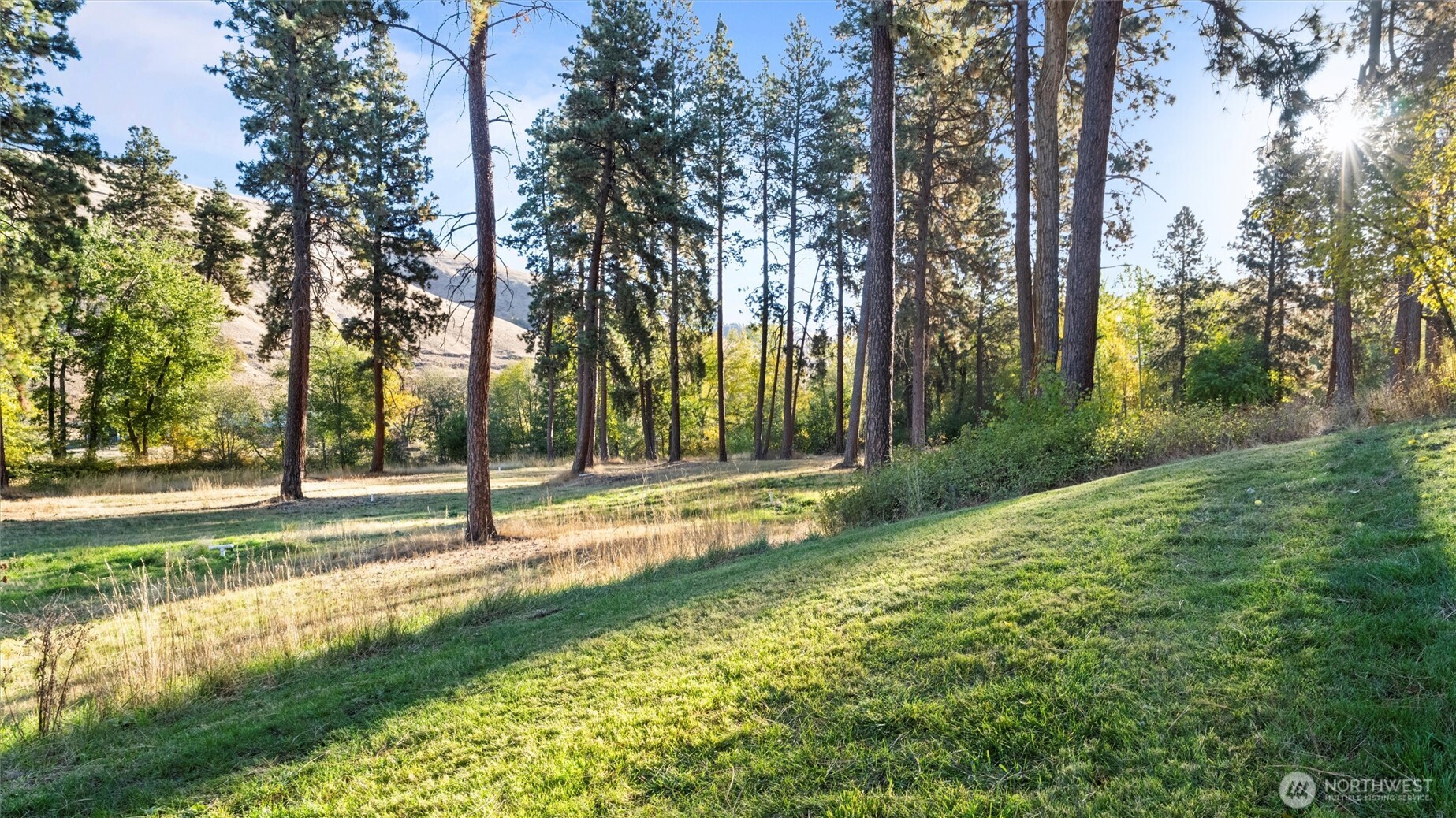 106 Wolf Ridge Lane Dayton, WA 99328 - Photo 8 of 39 a view of a yard with palm trees