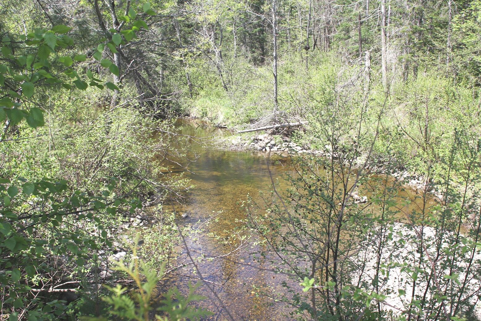 0 Fall Brook Bingham, ME 04920 - Photo 1 of 7 23025Hb1010_1