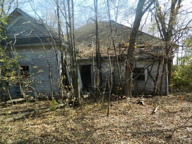 a view of a yard with a tree