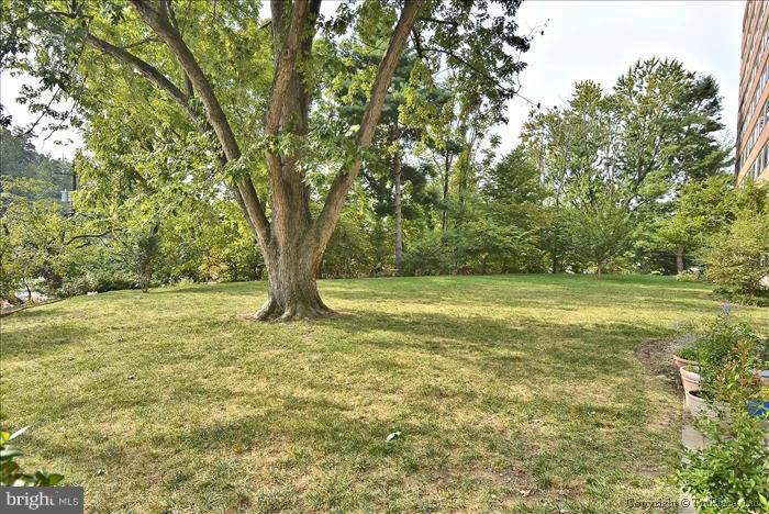 1210 North Taft Street, Unit 903 Arlington, VA 22201 - Photo 18 of 21 a view of outdoor space with trees