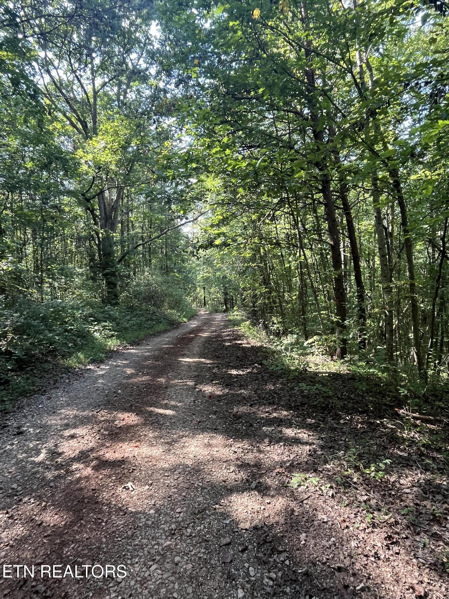 552 New Providence Road Tellico Plains, TN 37385 - Photo 11 of 38 IMG_6881